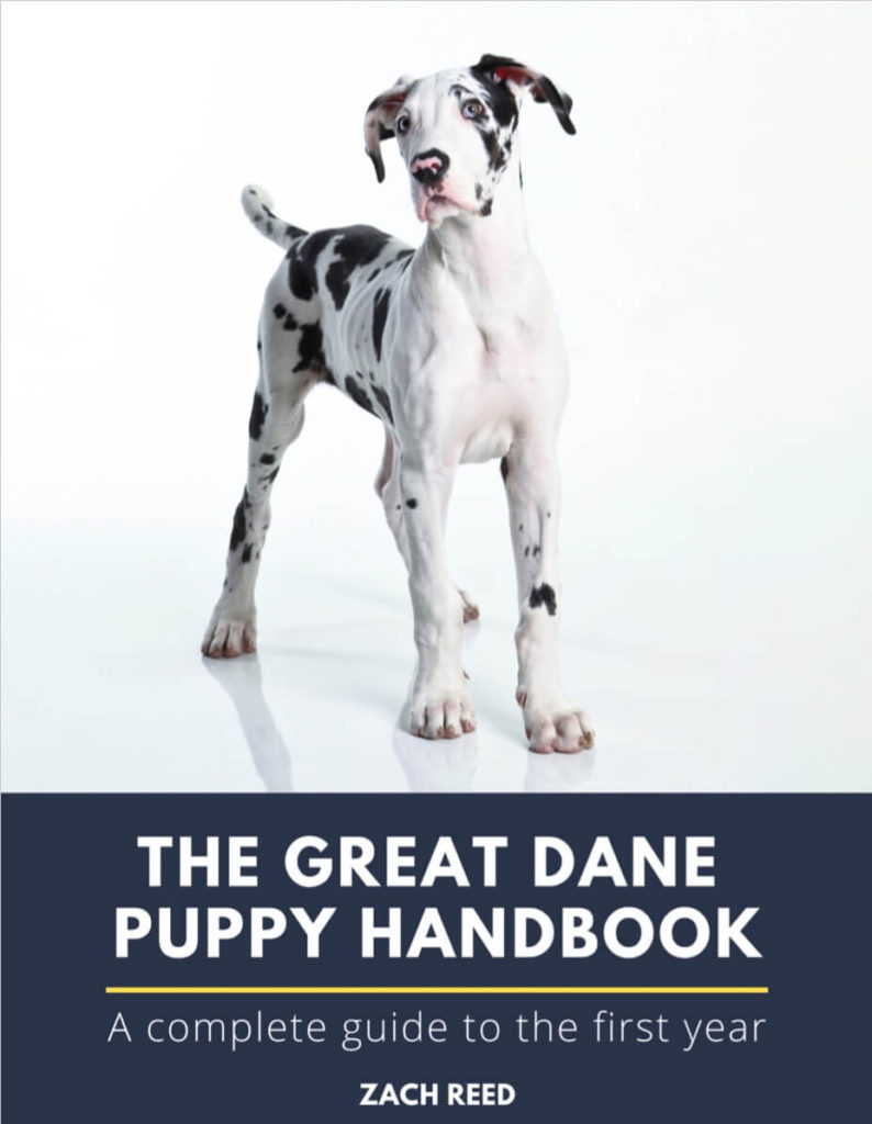 The Great Dane Puppy Handbook by Zach Reed