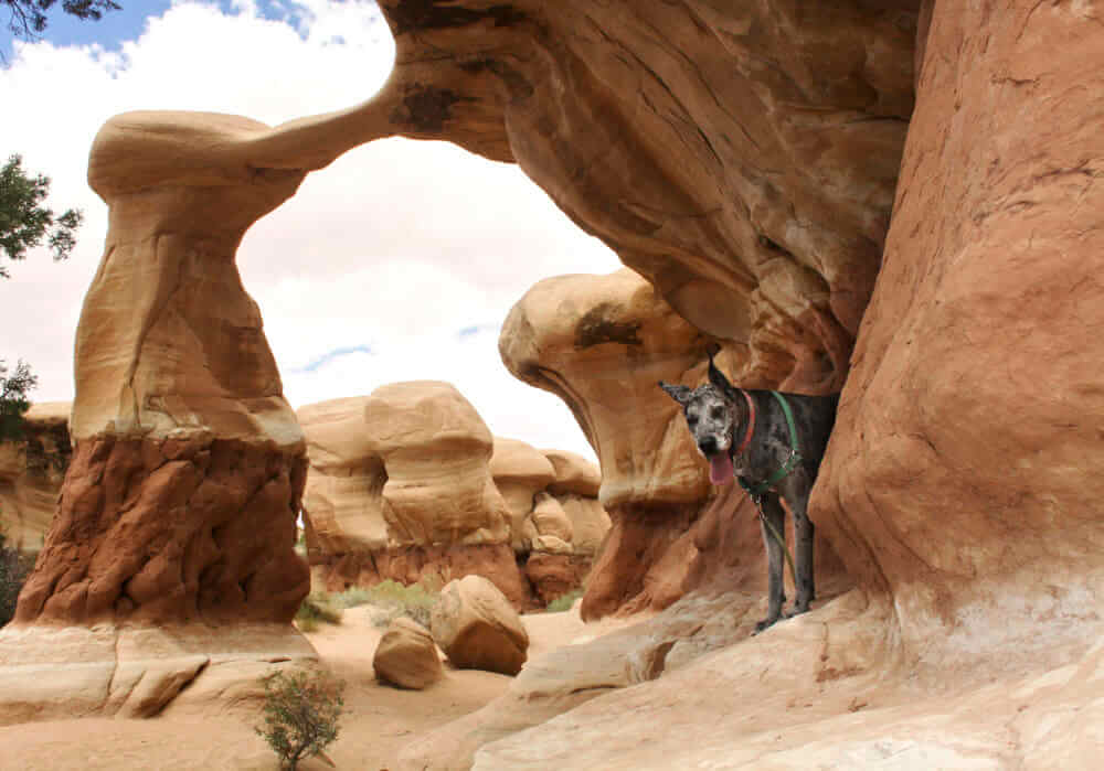 Devils garden clearance grand staircase escalante